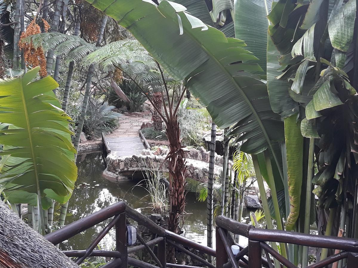 Affittacamere Moholoholo Ya Mati Kampersrus AH Esterno foto